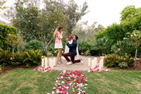 Angela & Ace Proposal vendors
