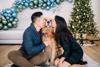 Holiday Minis 2024